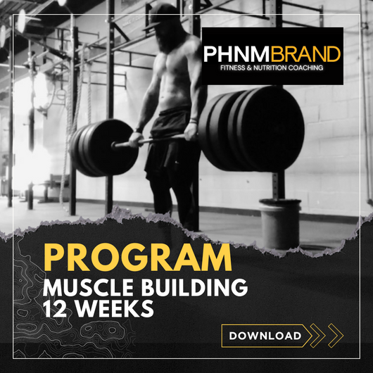 12 Week Muscle Building Workout Plan