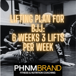 6 Week BJJ Workout - 3 Lift Days