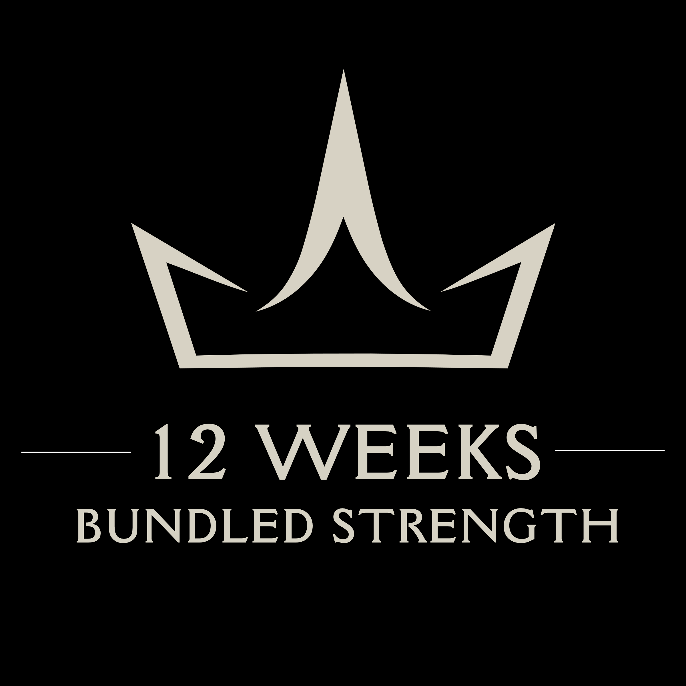 12-WEEK STRENGTH PROGRAM BUNDLE (BEGINNER TO ADVANCED) | DIGITAL DOWNLOAD