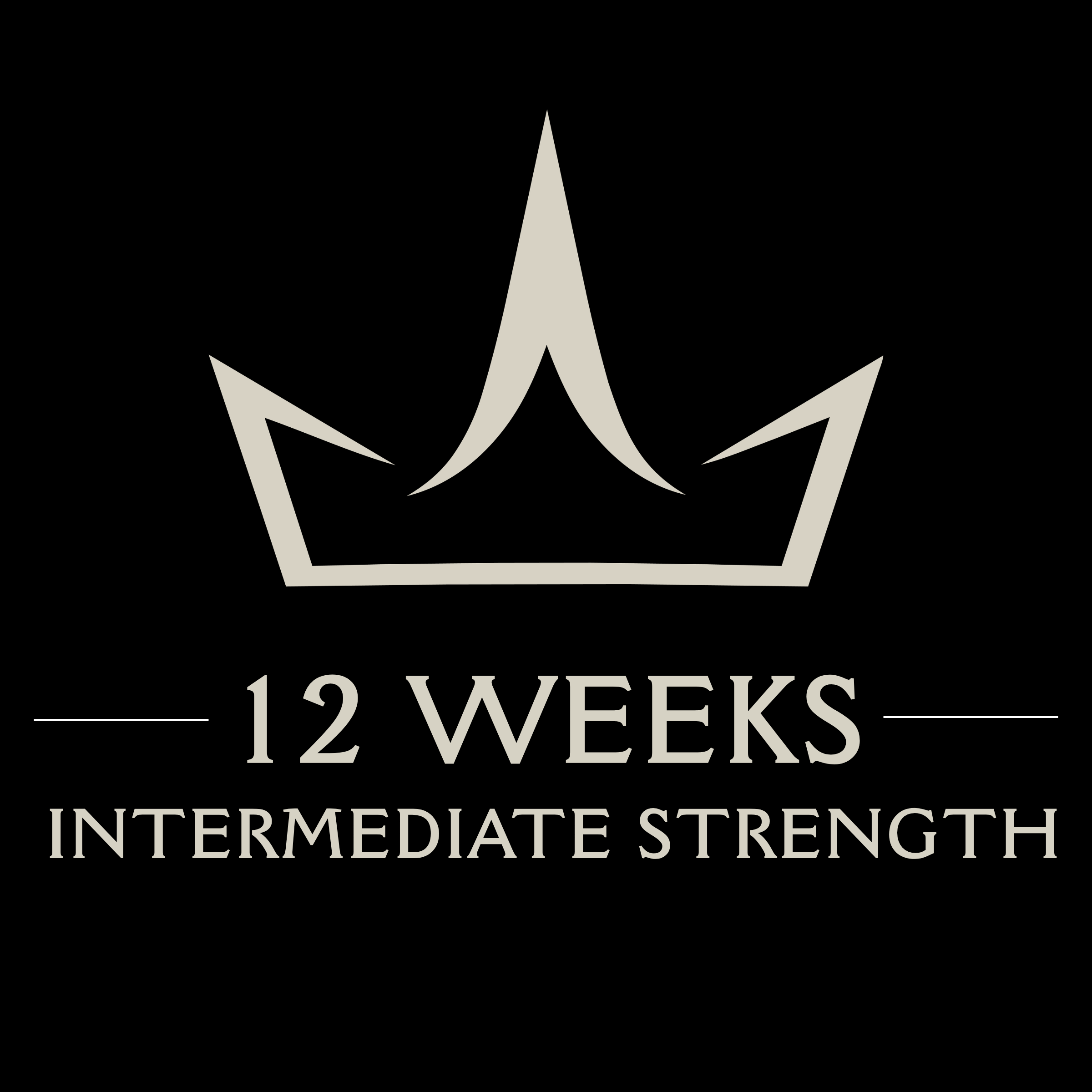 INTERMEDIATE STRENGTH PROGRAM – 12 WEEKS | DIGITAL DOWNLOAD