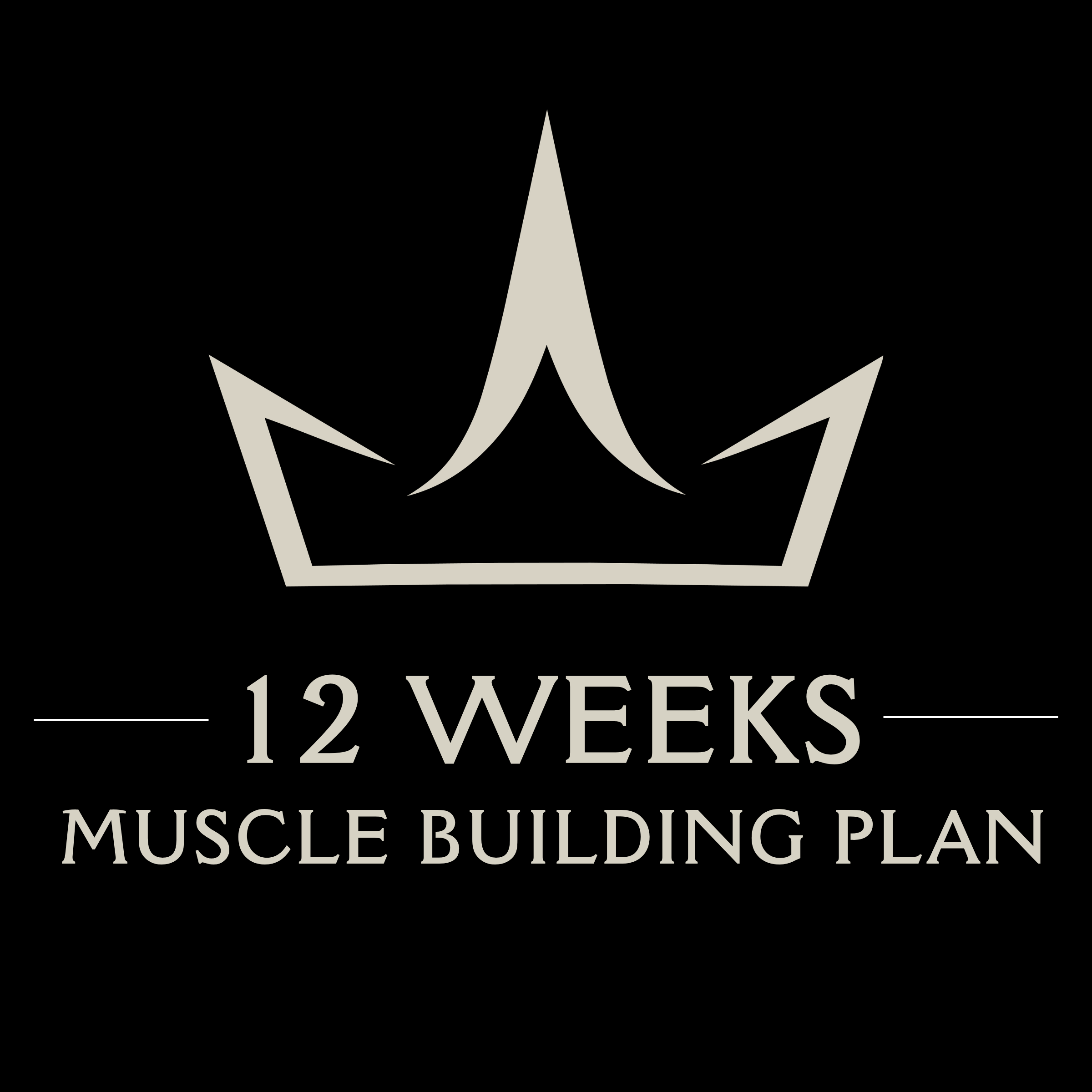 12 WEEK MUSCLE BUILDING WORKOUT PLAN | PHNM HYPERTROPHY TRAINING PROGRAM | DIGITAL DOWNLOAD